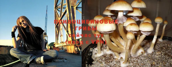 соль курить ск Баксан