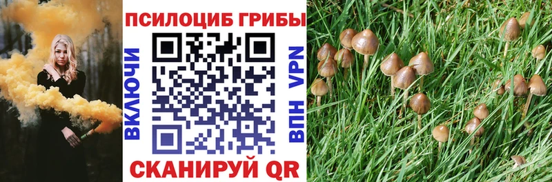 Галлюциногенные грибы MAGIC MUSHROOMS  Чекалин 